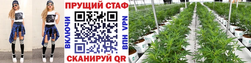 Купить наркоту Саранск АМФЕТАМИН  ГАШИШ  КОКАИН  СОЛЬ 