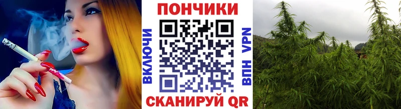 купить наркоту  Саранск  Марихуана сатива 